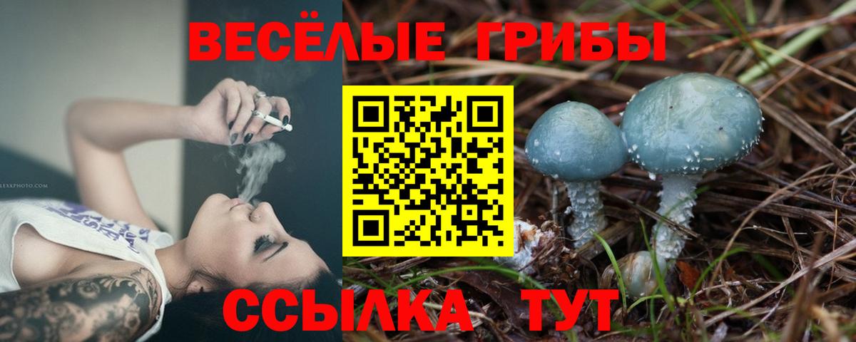 Галлюциногенные грибы мухоморы  Галлюциногенные грибы MAGIC MUSHROOMS  Волжский 